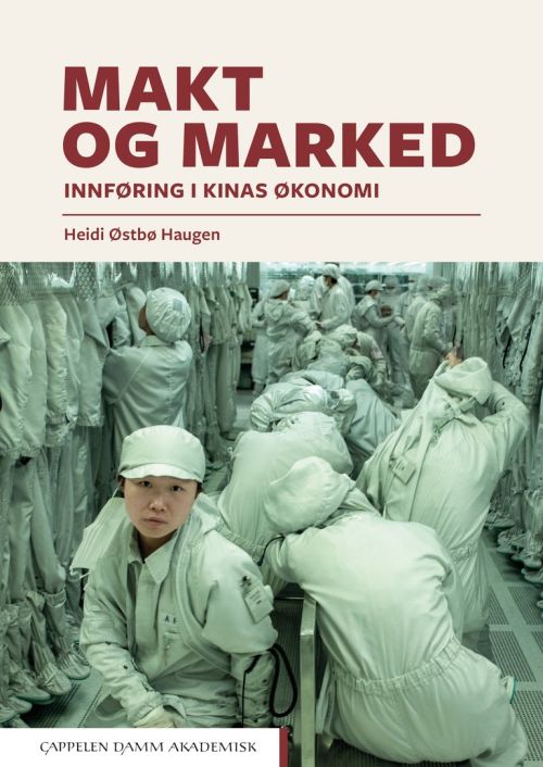 Makt og marked : innføring i Kinas økonomi