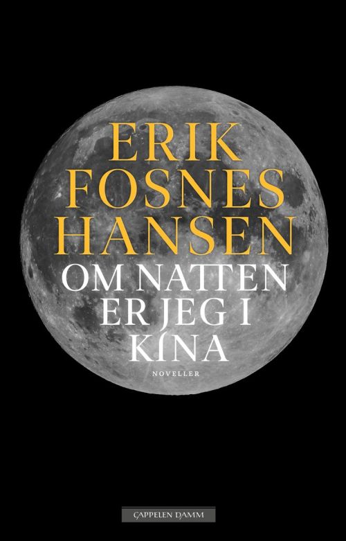 Om natten er jeg i Kina : noveller