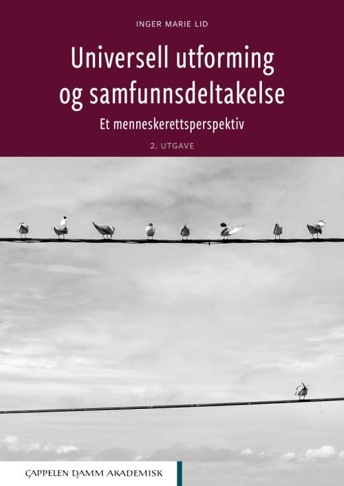 Universell utforming og samfunnsdeltakelse : et menneskerettsperspektiv  (2. utg.)