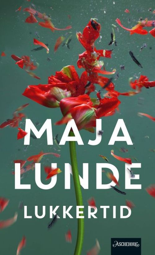Lukkertid : roman