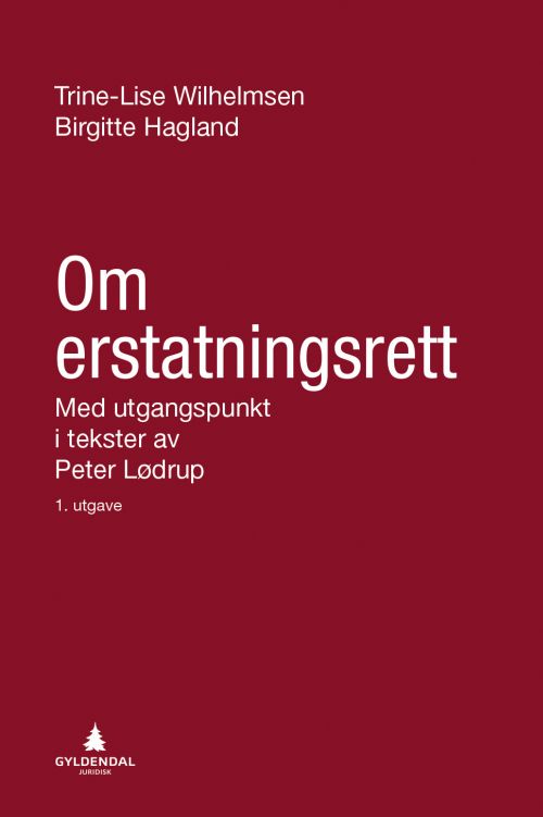 Om erstatningsrett : med utgangspunkt i tekster av Peter Lødrup