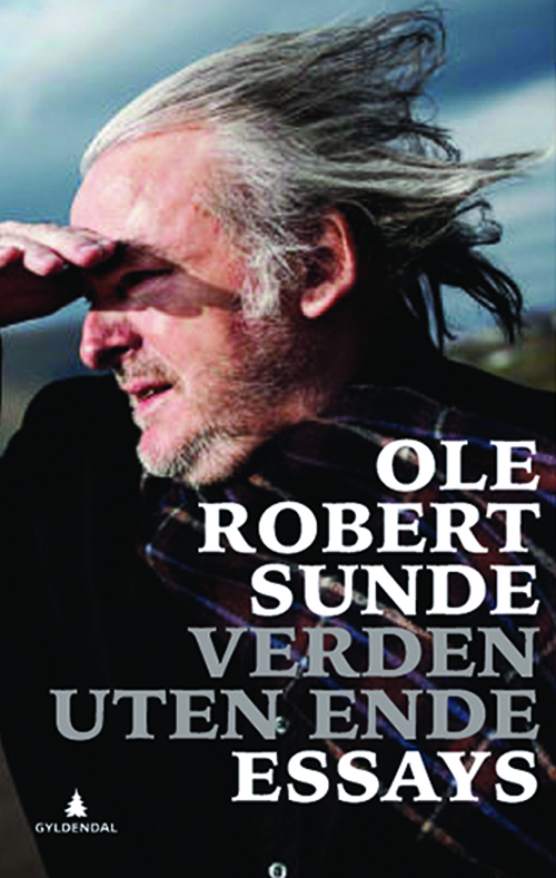 Verden uten ende : essays