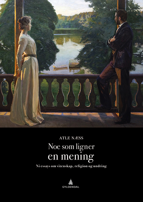 Noe som ligner en mening : ni essays om vitenskap, religion og undring