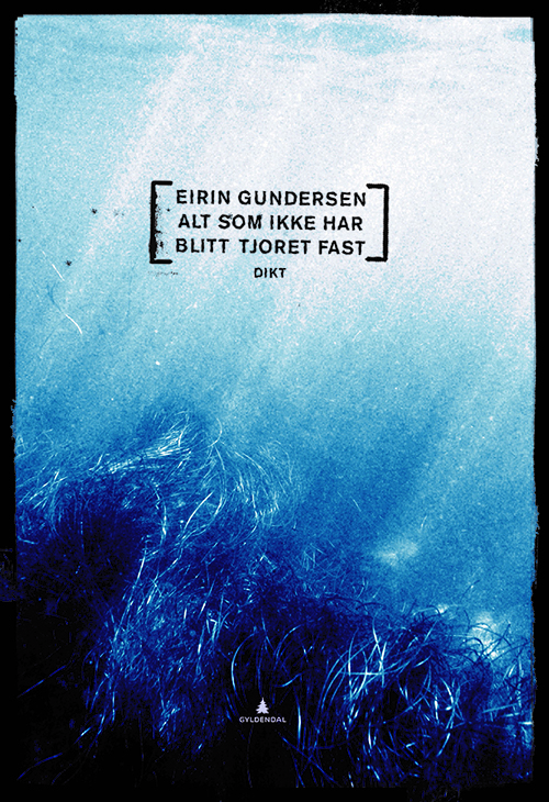 Alt som ikke har blitt tjoret fast : dikt