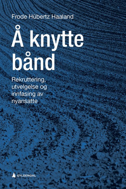 Å knytte bånd : rekruttering, utvelgelse og innfasing av nyansatte