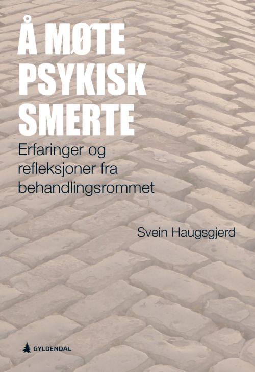 Å møte psykisk smerte : [erfaringer og refleksjoner fra behandlingsrommet]