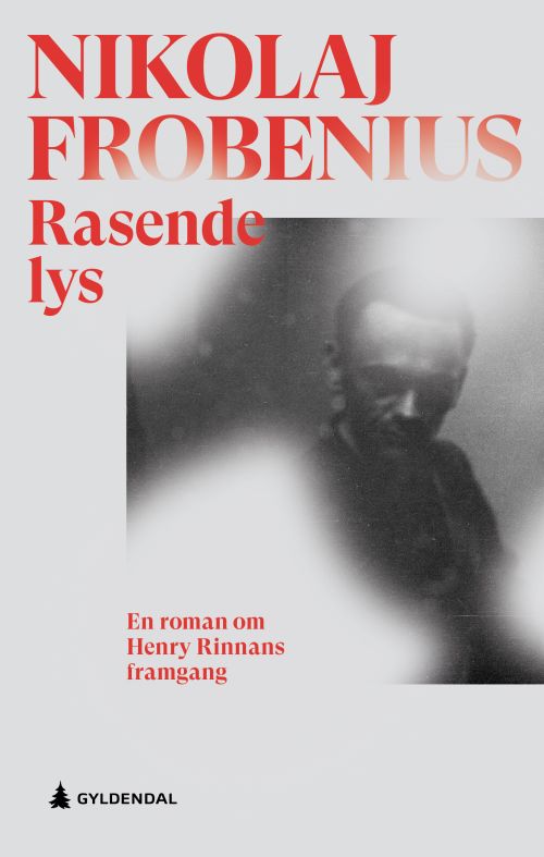 Rasende lys : en roman om Henry Rinnans fremgang
