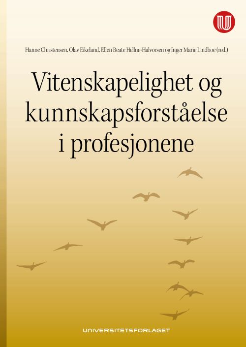 Vitenskapelighet og kunnskapsforståelse i profesjonene