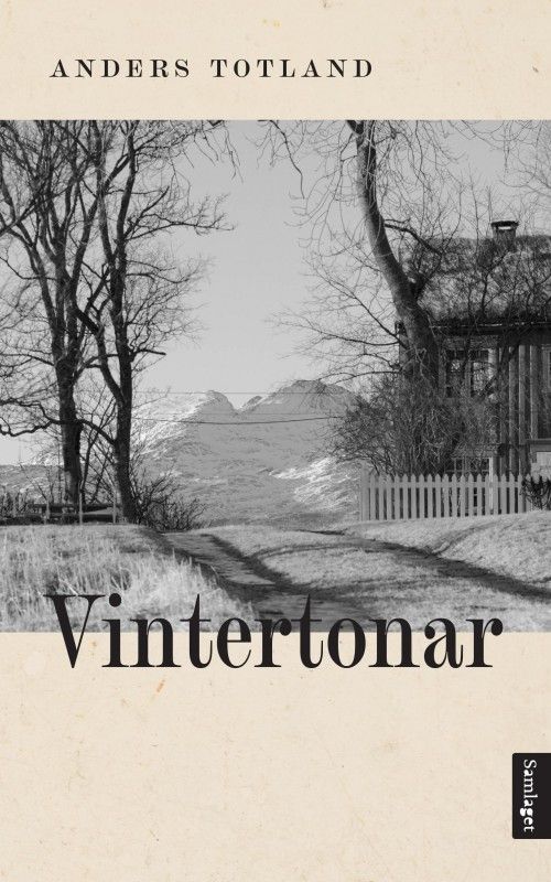 Vintertonar : roman