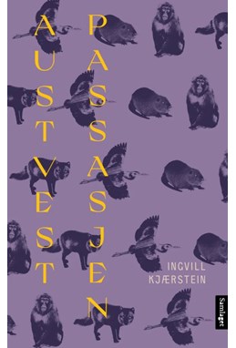 Austvestpassasjen : roman