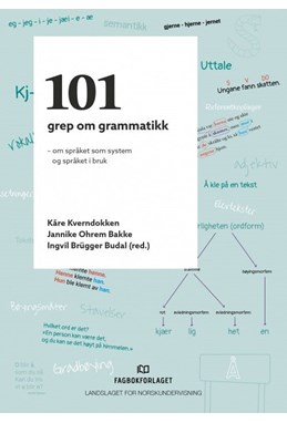 101 grep om grammatikk : om språket som system og språket i bruk