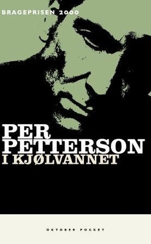 I kjølvannet : roman