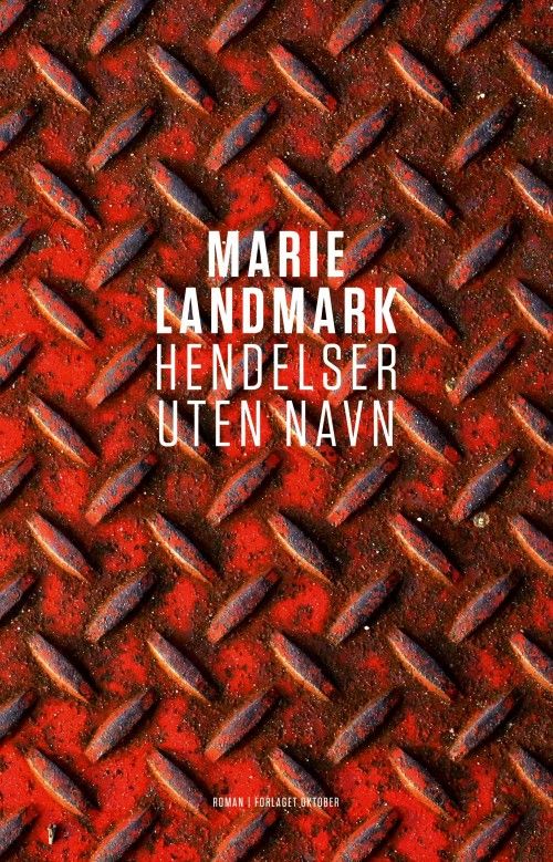 Hendelser uten navn : roman