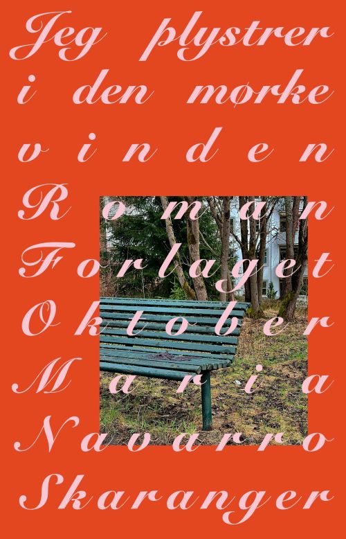 Jeg plystrer i den mørke vinden : roman