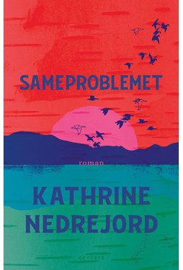 Sameproblemet : roman