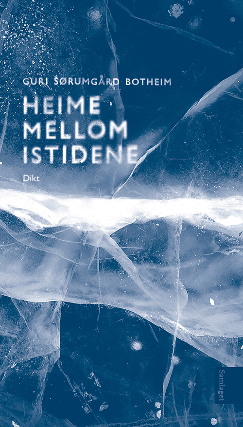 Heime mellom istidene : dikt