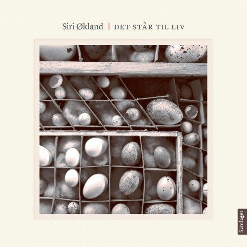 Det står til liv : kortprosa og foto