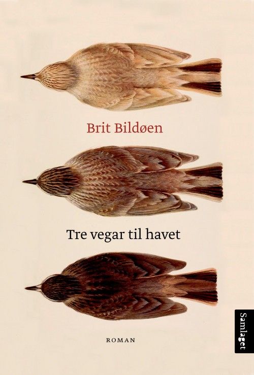 Tre vegar til havet : roman