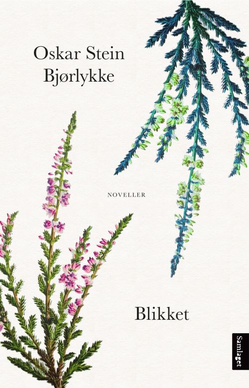 Blikket : noveller