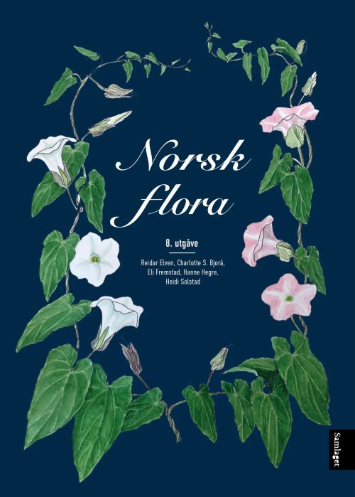 Norsk flora  (8. utg.)