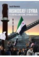 Risikosjef i Syria : på jobb mellom regime, opprørere og IS