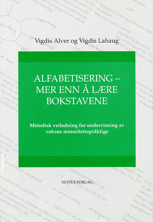 Alfabetisering - mer enn å lære bokstavene