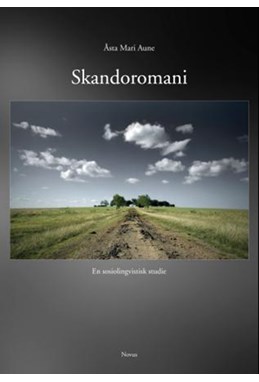 Skandoromani : en sosiolingvistisk studie