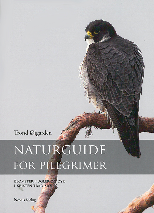 Naturguide for pilegrimer : blomster, fugler og dyr i kristen tradisjon