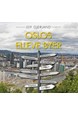 Oslos elleve byer : historien om en byutvikling