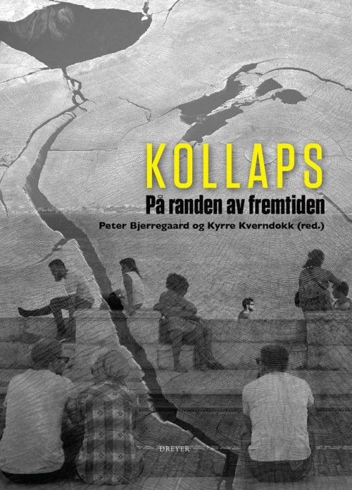 Kollaps : på randen av fremtiden