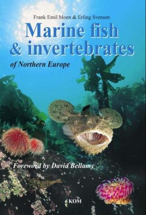 Marine fish and invertebrates of Northern Europe