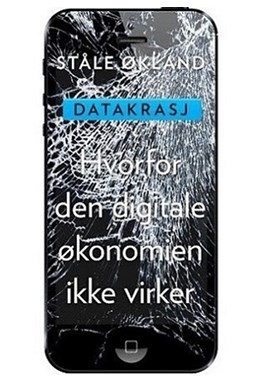 Datakrasj : hvorfor den digitale økonomien ikke virker