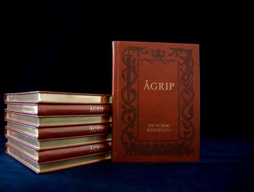 Ågrip : en norsk kongesaga / ill.: Anders Kvåle Rue