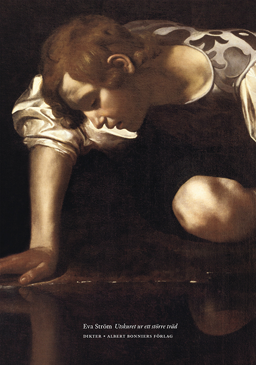 Utskuret ur ett större träd : dikter