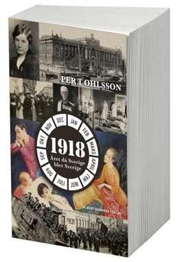 1918 : året då Sverige blev Sverige