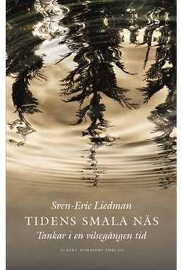 Tidens smala näs : tankar i en vilsegången tid