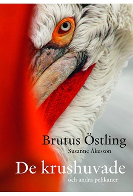 De krushuvade : och andra pelikaner / text: Susanne Åkesson