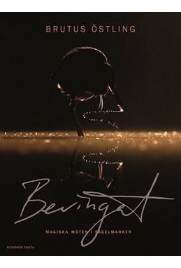 Bevingat : magiska möten i fågelmarken