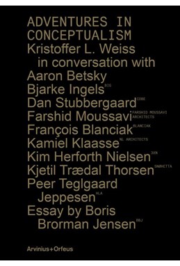 Adventures in conceptualism