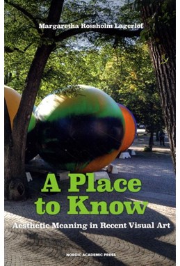 A place to know : aesthetic meaning in recent visual art