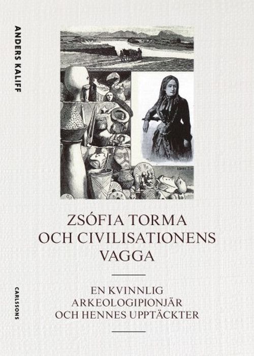 Zsófia Torma och civilisationens vagga : en kvinnlig arkeologipionjär och hennes upptäckter