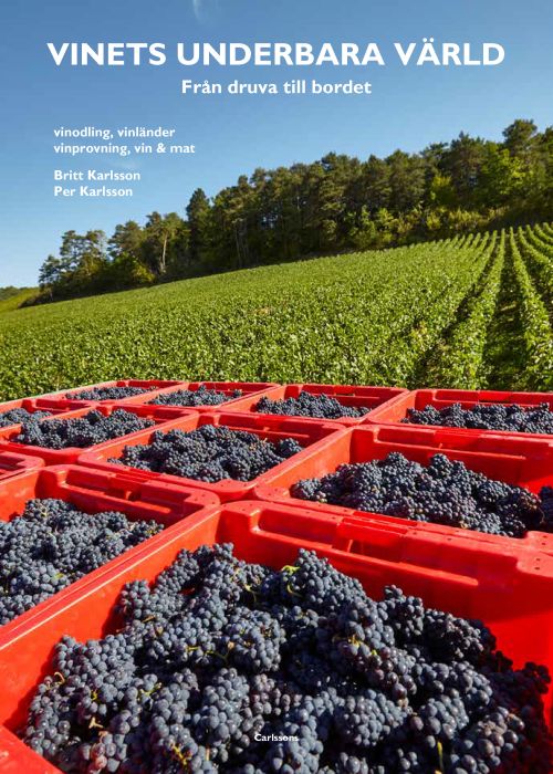 Vinets underbara värld : från druva till bordet