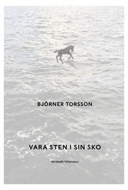 Vara sten i sin sko